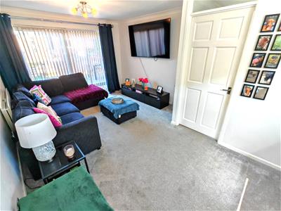 Picture 13